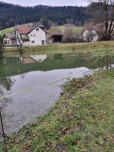 20231211 155704 resized 1