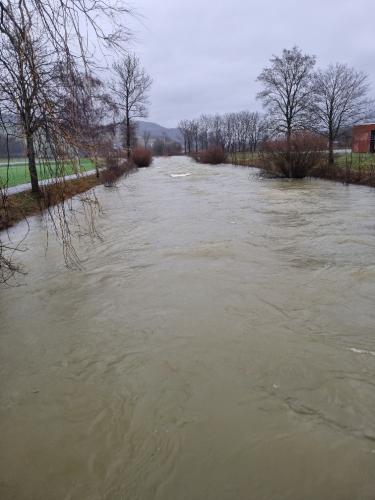 20231212 090112 resized