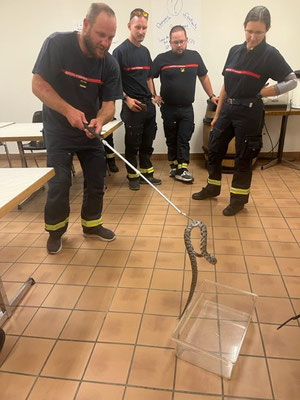 Lundi 11 septembre -1